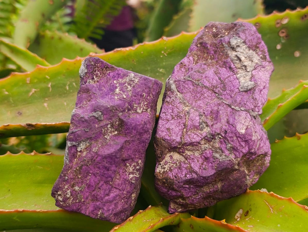 Natural Metallic Cobbed Purpurite Specimens x 6 From Erongo, Namibia