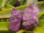 Natural Metallic Cobbed Purpurite Specimens x 6 From Erongo, Namibia