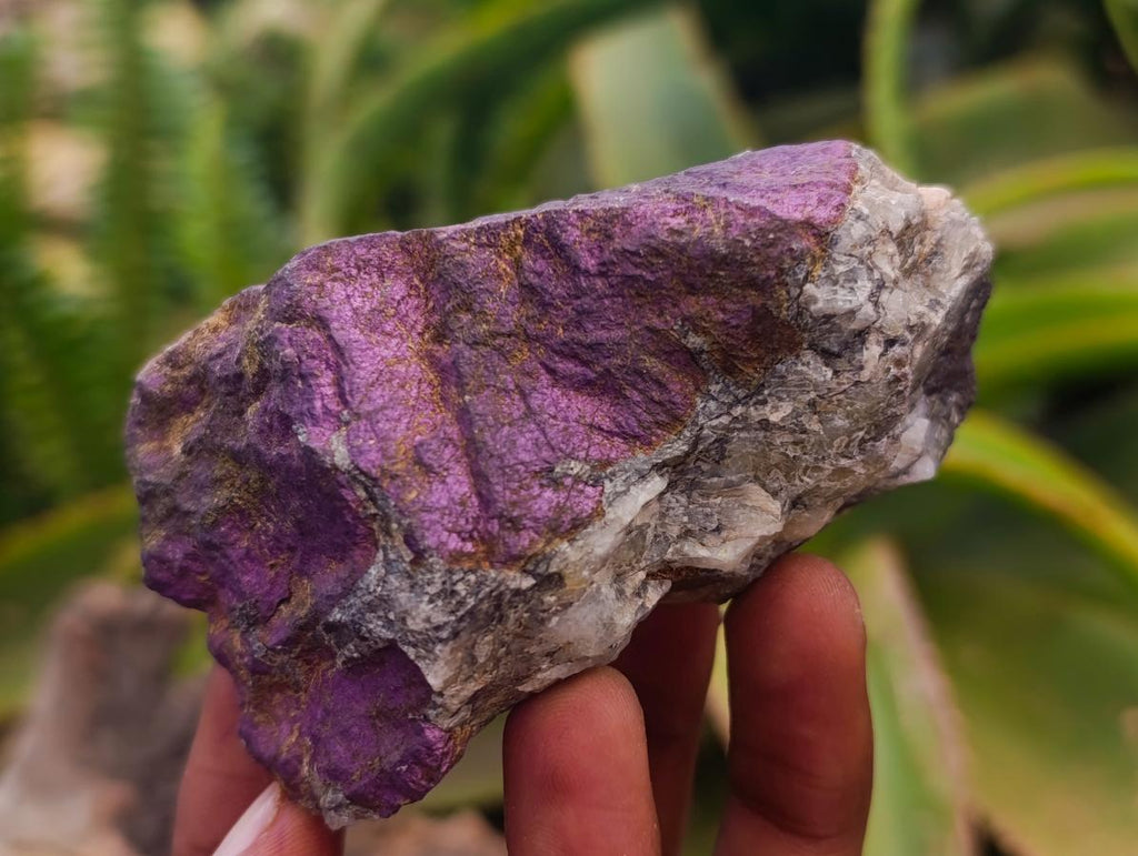 Natural Metallic Cobbed Purpurite Specimens x 6 From Erongo, Namibia