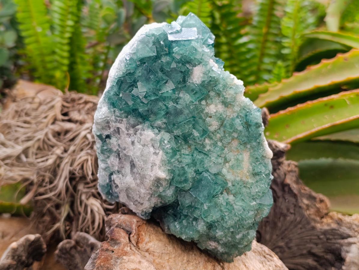 Natural Green Fluorite Cluster Specimens x 2 From Mandrosonoro, Madagascar