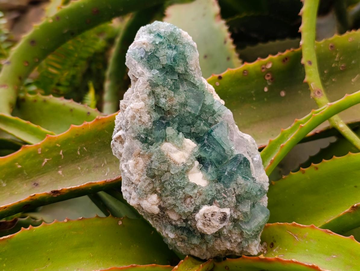 Natural Green Fluorite Cluster Specimens x 2 From Mandrosonoro, Madagascar
