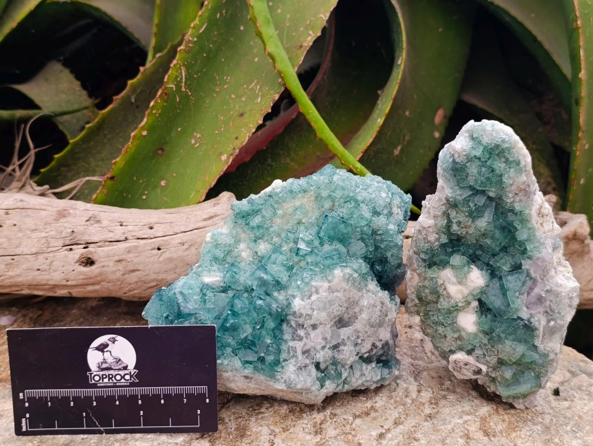 Natural Green Fluorite Cluster Specimens x 2 From Mandrosonoro, Madagascar