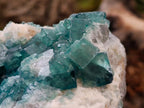 Natural Green Fluorite Cluster Specimens x 2 From Mandrosonoro, Madagascar