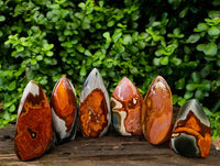 Polished Polychrome Jasper Flames x 6 From NW Coast, Madagascar