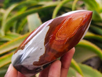 Polished Polychrome Jasper Flames x 6 From NW Coast, Madagascar