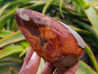 Polished Polychrome Jasper Flames x 6 From NW Coast, Madagascar