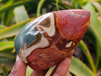 Polished Polychrome Jasper Flames x 6 From NW Coast, Madagascar