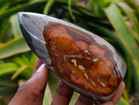 Polished Polychrome Jasper Flames x 6 From NW Coast, Madagascar