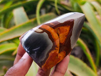 Polished Polychrome Jasper Flames x 6 From NW Coast, Madagascar