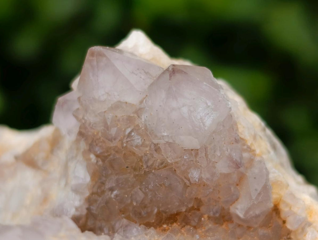 Natural Limonite Spirit Quartz Clusters x 6 From Boekenhouthoek, South Africa