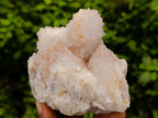 Natural Limonite Spirit Quartz Clusters x 6 From Boekenhouthoek, South Africa
