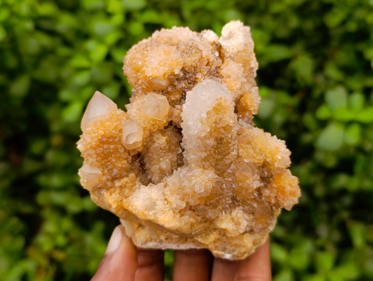 Natural Limonite Spirit Quartz Clusters x 6 From Boekenhouthoek, South Africa