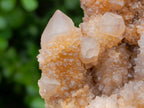 Natural Limonite Spirit Quartz Clusters x 6 From Boekenhouthoek, South Africa