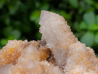 Natural Limonite Spirit Quartz Clusters x 6 From Boekenhouthoek, South Africa