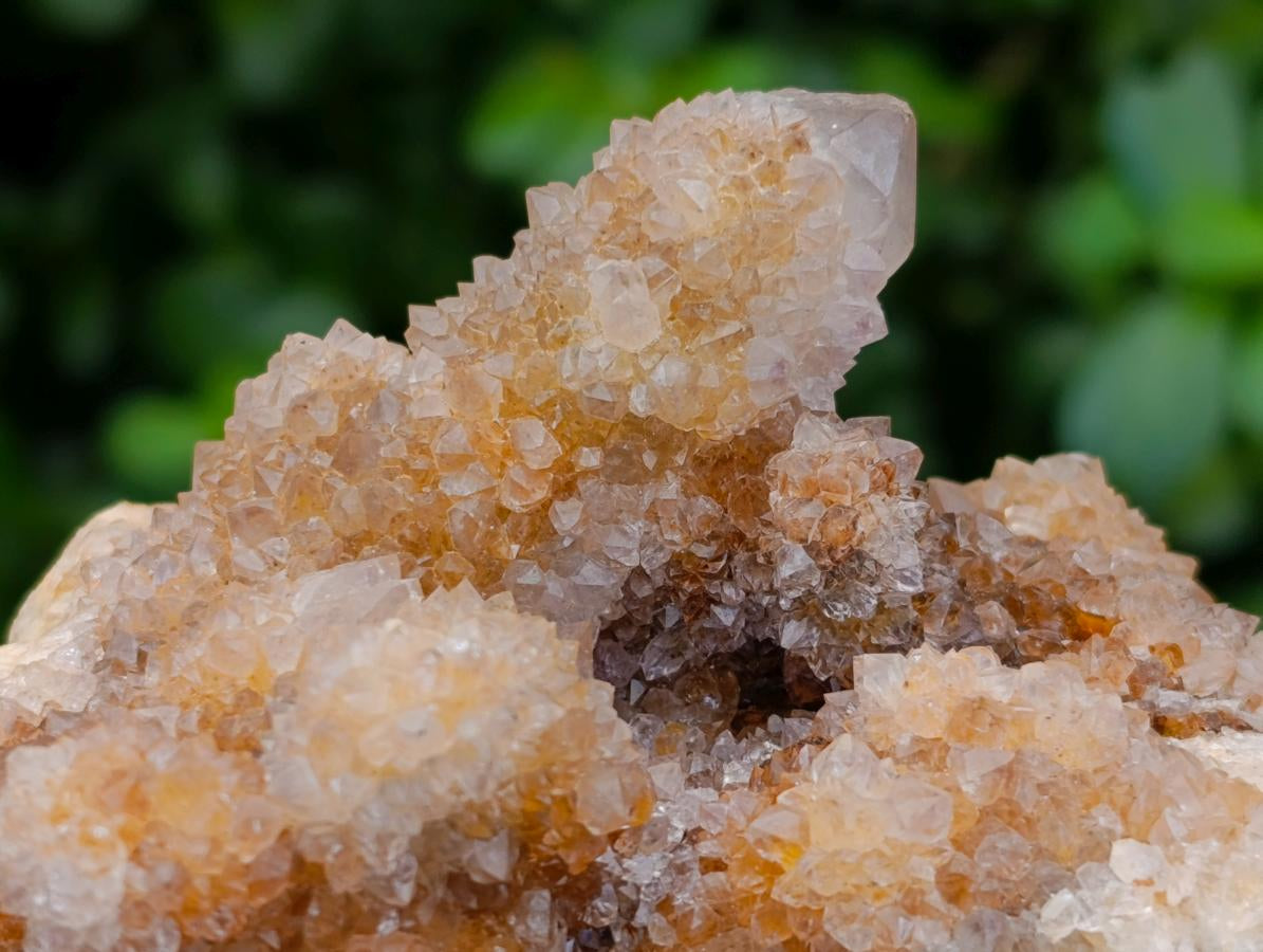 Natural Limonite Spirit Quartz Clusters x 6 From Boekenhouthoek, South Africa