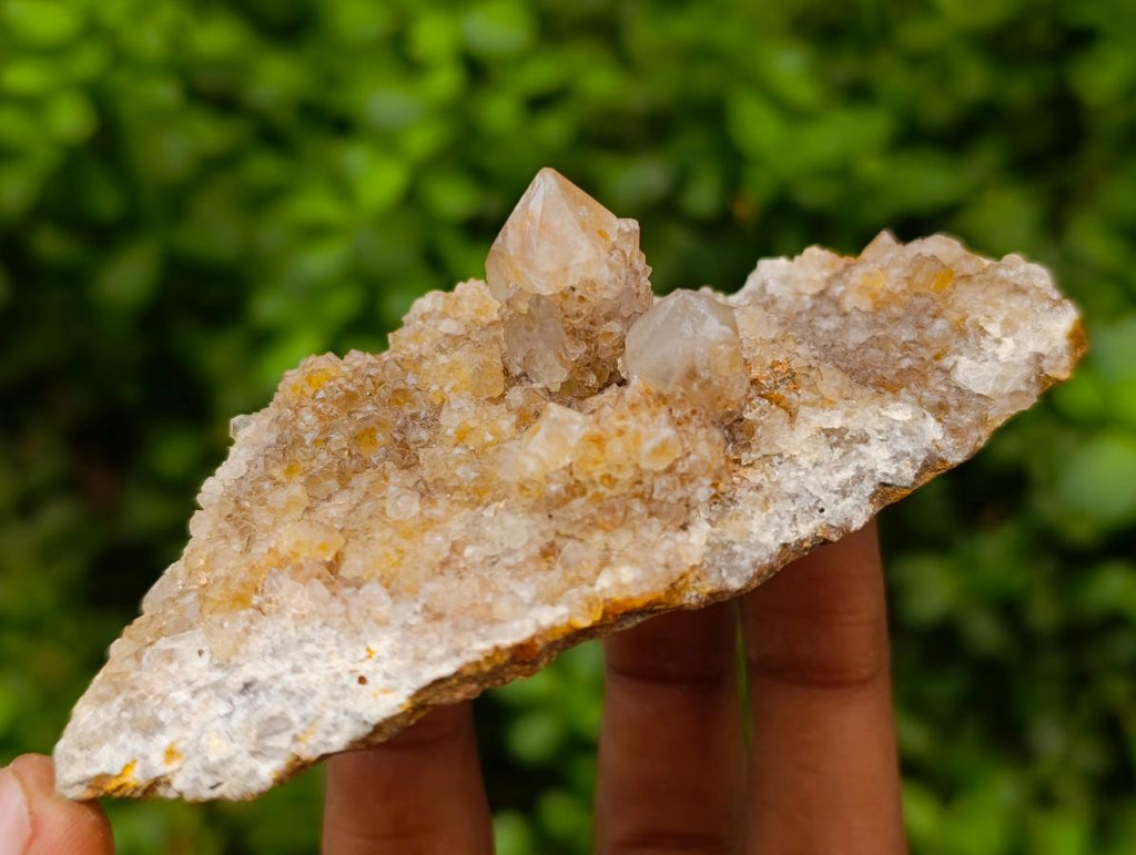 Natural Limonite Spirit Quartz Clusters x 6 From Boekenhouthoek, South Africa