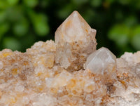 Natural Limonite Spirit Quartz Clusters x 6 From Boekenhouthoek, South Africa
