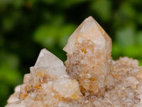 Natural Limonite Spirit Quartz Clusters x 6 From Boekenhouthoek, South Africa