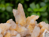 Natural Limonite Spirit Quartz Clusters x 6 From Boekenhouthoek, South Africa