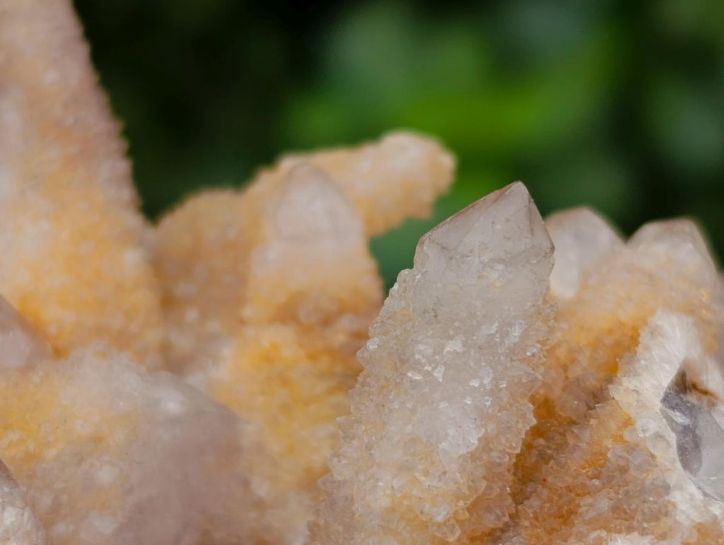 Natural Limonite Spirit Quartz Clusters x 6 From Boekenhouthoek, South Africa