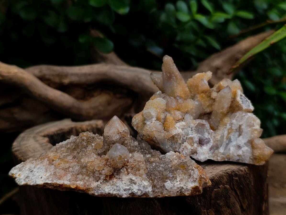 Natural Limonite Spirit Quartz Clusters x 6 From Boekenhouthoek, South Africa