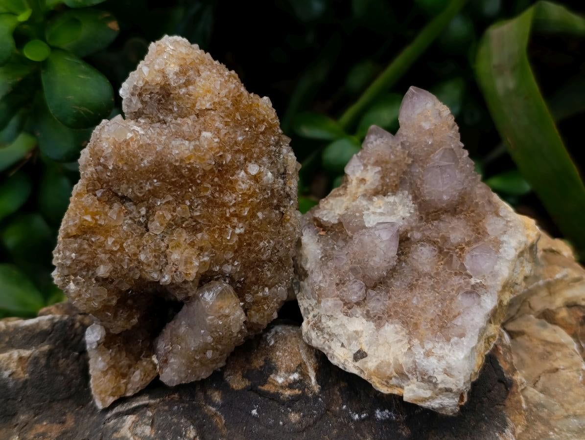 Natural Limonite Spirit Quartz Clusters x 6 From Boekenhouthoek, South Africa