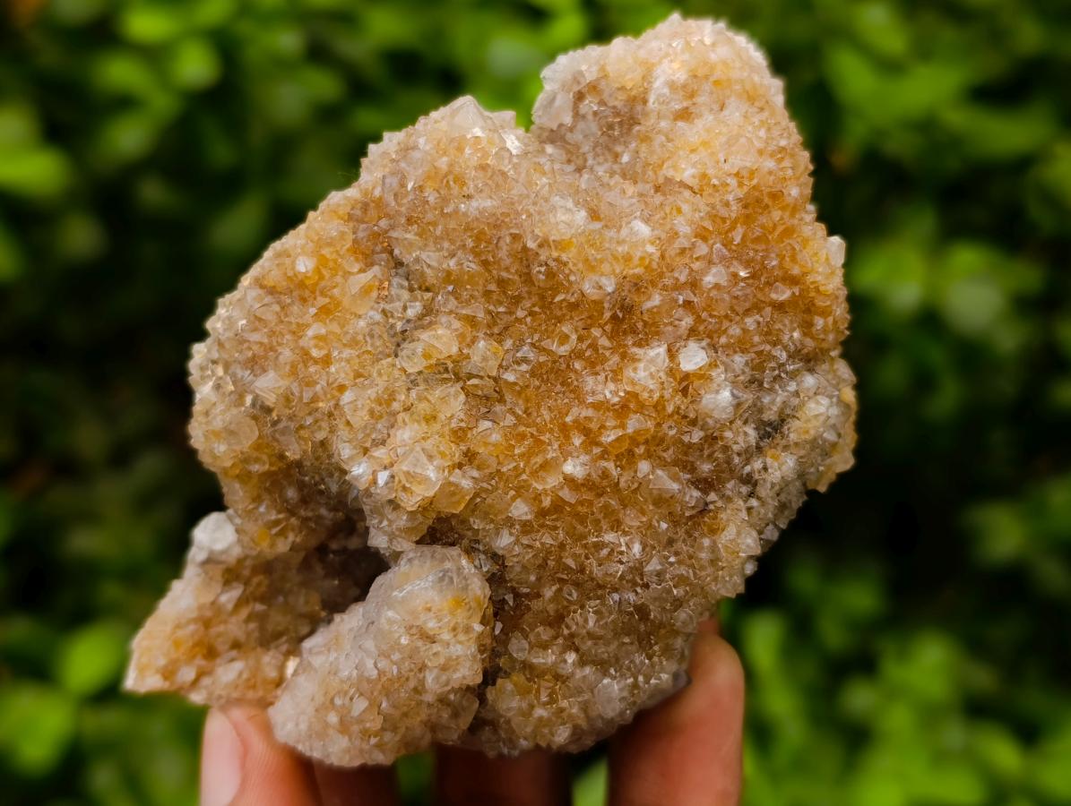 Natural Limonite Spirit Quartz Clusters x 6 From Boekenhouthoek, South Africa