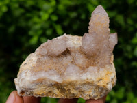 Natural Limonite Spirit Quartz Clusters x 6 From Boekenhouthoek, South Africa