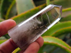 Polished Wispy Smokey Window Quartz Crystals x 12 From Madagascar