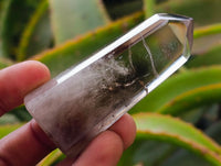 Polished Wispy Smokey Window Quartz Crystals x 12 From Madagascar