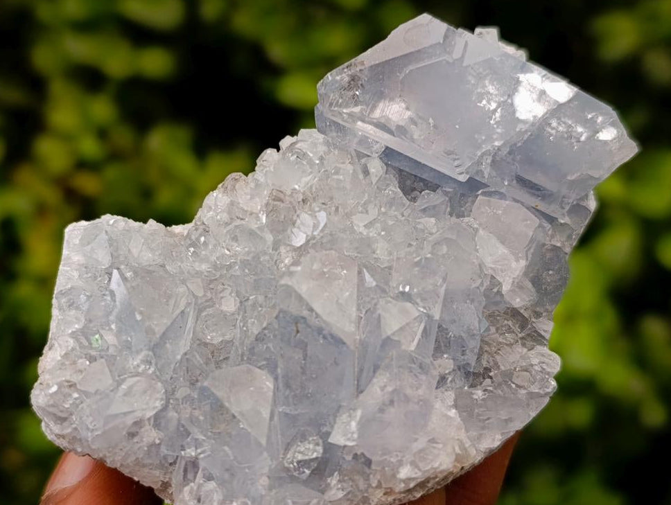 Natural Blue Celestite Specimens x 25 From Sakoany, Madagascar