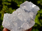 Natural Blue Celestite Specimens x 25 From Sakoany, Madagascar