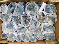 Natural Blue Celestite Specimens x 25 From Sakoany, Madagascar