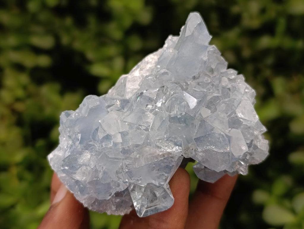 Natural Blue Celestite Specimens x 25 From Sakoany, Madagascar