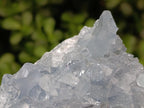 Natural Blue Celestite Specimens x 25 From Sakoany, Madagascar
