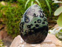 Polished Stromatolite Standing Free Forms x 3 From Katsepy, Madagascar