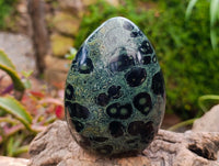 Polished Stromatolite Standing Free Forms x 3 From Katsepy, Madagascar