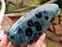 Polished Stromatolite Standing Free Forms x 3 From Katsepy, Madagascar