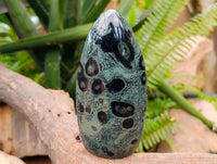 Polished Stromatolite Standing Free Forms x 3 From Katsepy, Madagascar