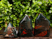 Polished Bloodstone Display Crystals x 3 From Swaziland