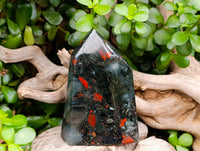 Polished Bloodstone Display Crystals x 3 From Swaziland