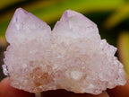Natural Amethyst Spirit Crystals x 35 From Boekenhouthoek, South Africa