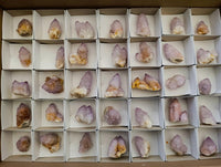 Natural Amethyst Spirit Crystals x 35 From Boekenhouthoek, South Africa