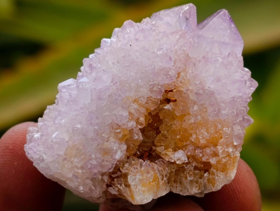Natural Amethyst Spirit Crystals x 35 From Boekenhouthoek, South Africa