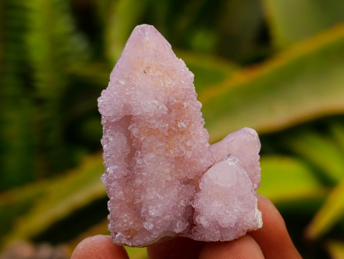 Natural Amethyst Spirit Crystals x 35 From Boekenhouthoek, South Africa