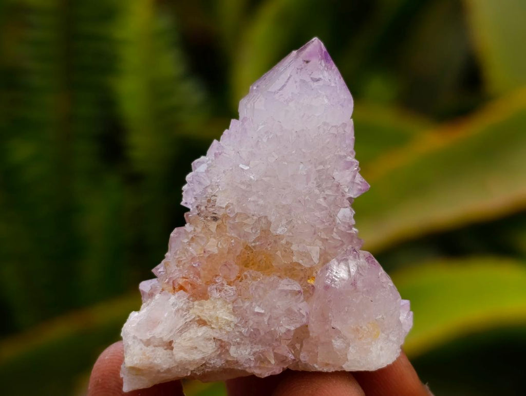 Natural Amethyst Spirit Crystals x 35 From Boekenhouthoek, South Africa