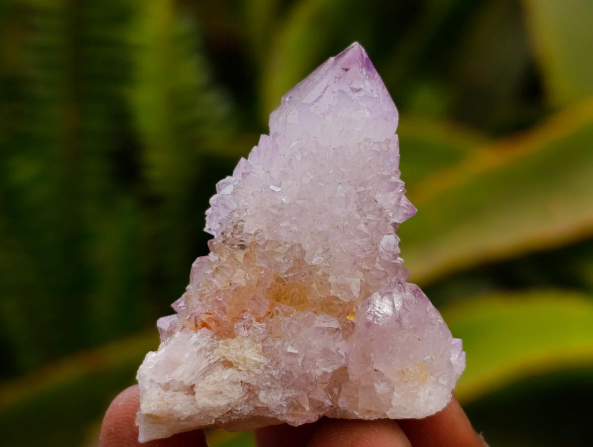 Natural Amethyst Spirit Crystals x 35 From Boekenhouthoek, South Africa