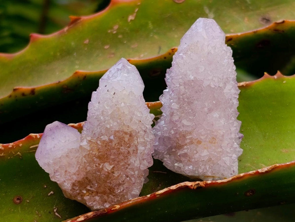 Natural Amethyst Spirit Crystals x 35 From Boekenhouthoek, South Africa
