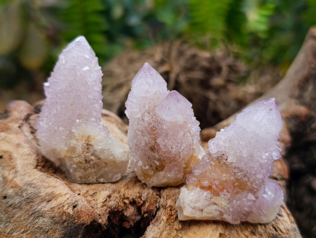 Natural Amethyst Spirit Crystals x 35 From Boekenhouthoek, South Africa