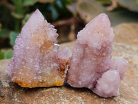 Natural Amethyst Spirit Crystals x 35 From Boekenhouthoek, South Africa